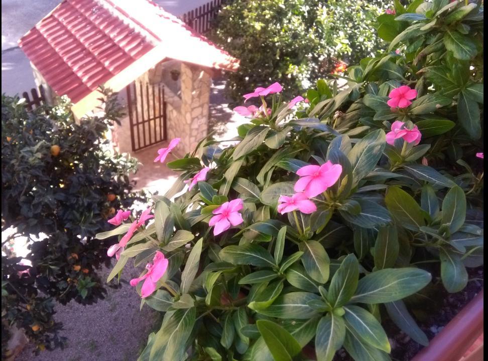 Casa Belvedere Agrigento Ngoại thất bức ảnh